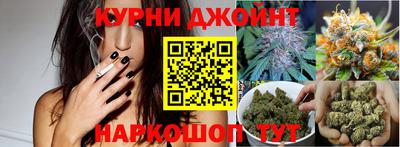 мяу мяу мука Будённовск