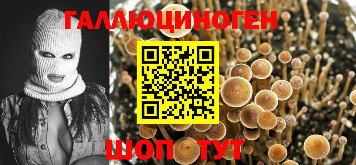 Псилоцибиновые грибы Psilocybine cubensis  дарнет шоп  Лысьва  Вход с VPN 